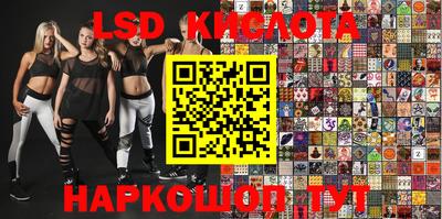 ECSTASY Новозыбков