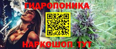 соль ск Новодвинск
