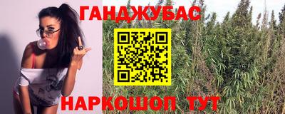 ECSTASY Новозыбков