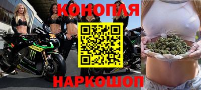 альфа пвп Новокубанск