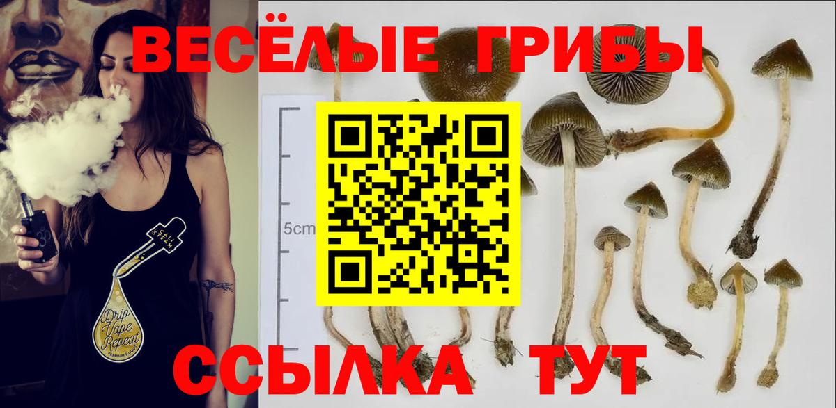 Галлюциногенные грибы GOLDEN TEACHER  Вход с VPN  Сухой Лог 