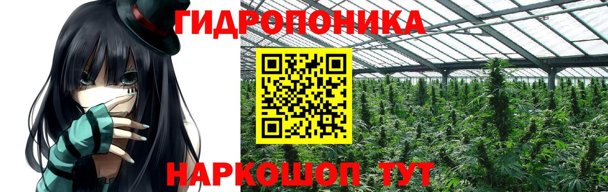 Сухой Лог  Каннабис сатива  Марихуана SATIVA & INDICA  Марихуана White Widow  Вход с VPN  МАРИХУАНА LSD WEED 